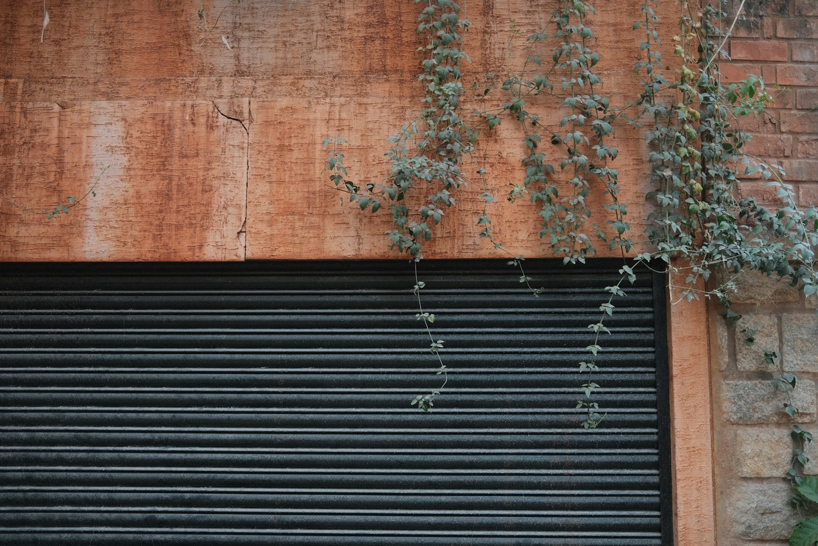 roller shutter door services